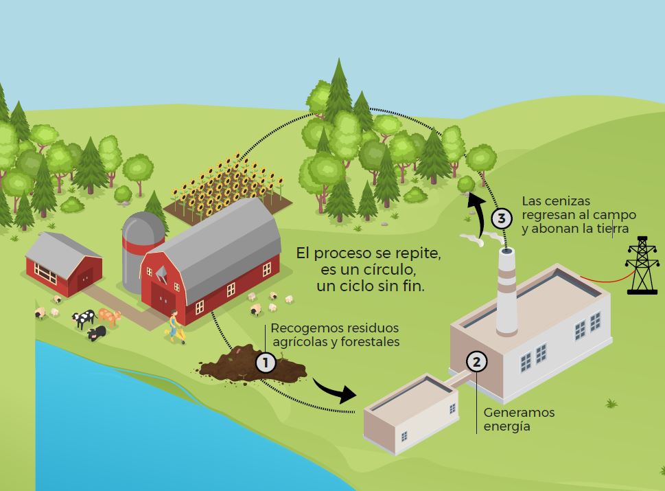 Del Campo A Tus Electrodomésticos Así Funciona Una Planta De Biomasa Experience Acciona 9952