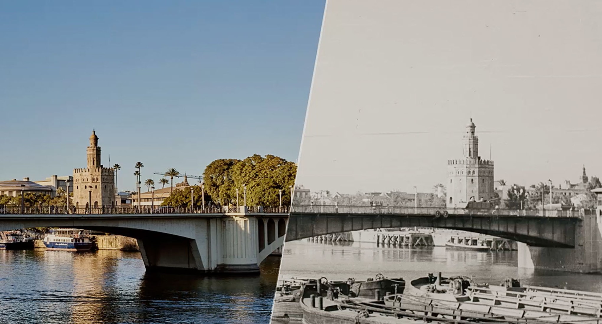 20 Years Of Commitment To Sustainability And Innovation Experience